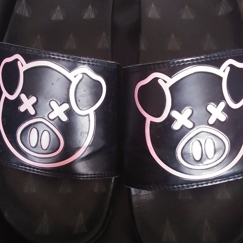 Shane dawson pig slides